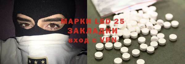 ГАЛЛЮЦИНОГЕННЫЕ ГРИБЫ Алексин