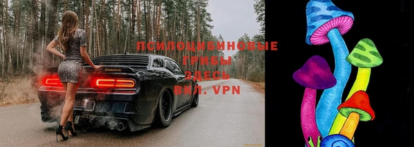 а пвп мука Алзамай