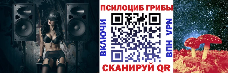 Псилоцибиновые грибы мицелий  Перевоз 